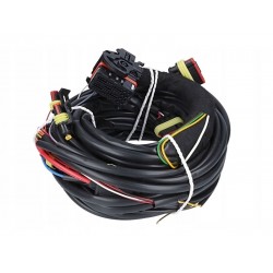 CABLAJ INSTALATIE GPL STAG 4 PLUS CABLAJ INSTALATIE GPL STAG 4 PLUS