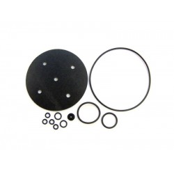 KIT REVIZIE MEMBRANE VAPORIZATOR BIGAS RI21 KIT REVIZIE MEMBRANE VAPORIZATOR BIGAS RI21
