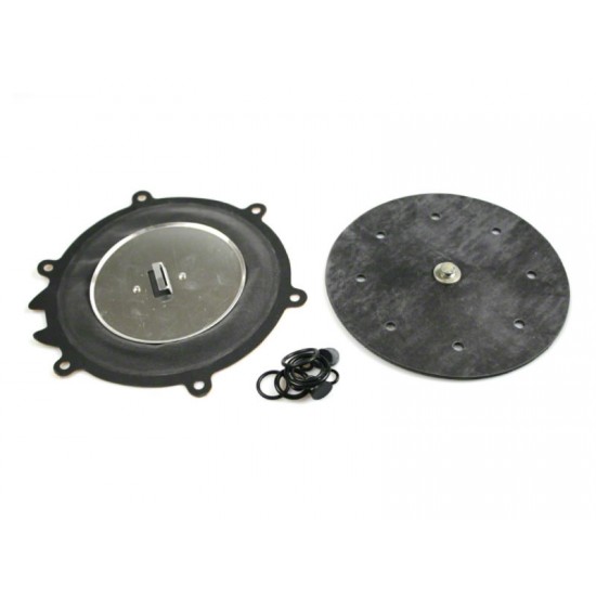 KIT REVIZIE MEMBRANE VAPORIZATOR LO GAS RL-ONE KIT REVIZIE MEMBRANE VAPORIZATOR LO GAS RL-ONE