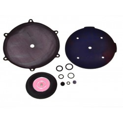 KIT REVIZIE MEMBRANE VAPORIZATOR TARTARINI G79 KIT REVIZIE MEMBRANE VAPORIZATOR TARTARINI G79
