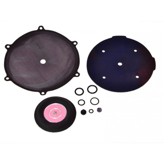 KIT REVIZIE MEMBRANE VAPORIZATOR TARTARINI G79 KIT REVIZIE MEMBRANE VAPORIZATOR TARTARINI G79