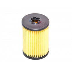 FILTRU GPL VALTEK, DREAM OMVL, ELPIGAZ