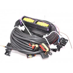 CABLAJ INSTALATIE GPL STAG 300-4-ISA2 CABLAJ INSTALATIE GPL STAG 300-4-ISA2