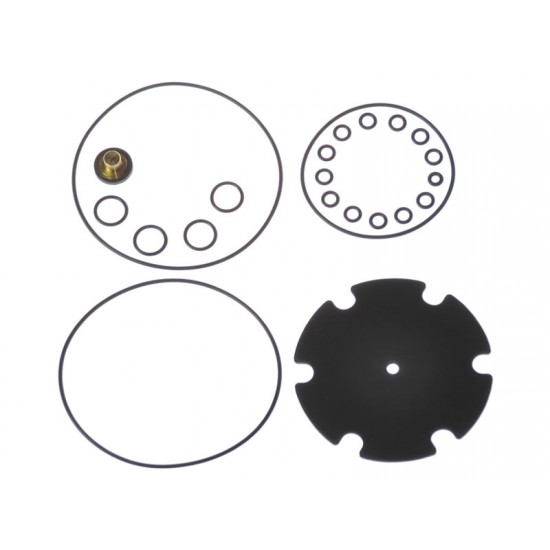 KIT REVIZIE MEMBRANE VAPORIZATOR MARINI RINGAS (COMPATIBIL)