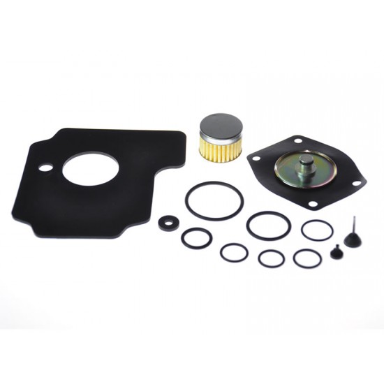 KIT REVIZIE MEMBRANE VAPORIZATOR LOVATO RGJ HP (COMPATIBIL) KIT REVIZIE MEMBRANE VAPORIZATOR LOVATO RGJ HP (COMPATIBIL)