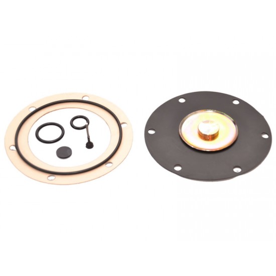 KIT REVIZIE MEMBRANE VAPORIZATOR LOVATO RGJ (COMPATIBIL)