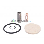 KIT REVIZIE FILTRU GPL PASLA ELECTROVALVA LANDI RENZO (Original)