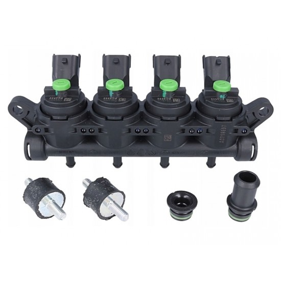 RAMPA 4 INJECTOARE LANDI RENZO GIRS 12 TIP S - VERDE RAMPA 4 INJECTOARE LANDI RENZO GIRS 12 TIP S - VERDE