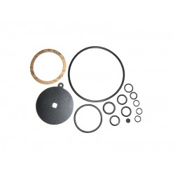 KIT REVIZIE MEMBRANE VAPORIZATOR REG / OMVL CPR (COMPATIBIL) KIT REVIZIE MEMBRANE VAPORIZATOR REG / OMVL CPR (COMPATIBIL)