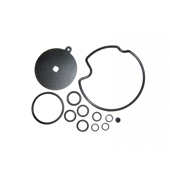 KIT REVIZIE MEMBRANE VAPORIZATOR REG / OMVL CPR (COMPATIBIL) KIT REVIZIE MEMBRANE VAPORIZATOR REG / OMVL CPR (COMPATIBIL)