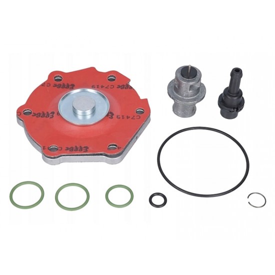 KIT REVIZIE MEMBRANE VAPORIZATOR LOVATO RGJ 3DD / 3.2L DD KIT REVIZIE MEMBRANE VAPORIZATOR LOVATO RGJ 3DD / 3.2L DD
